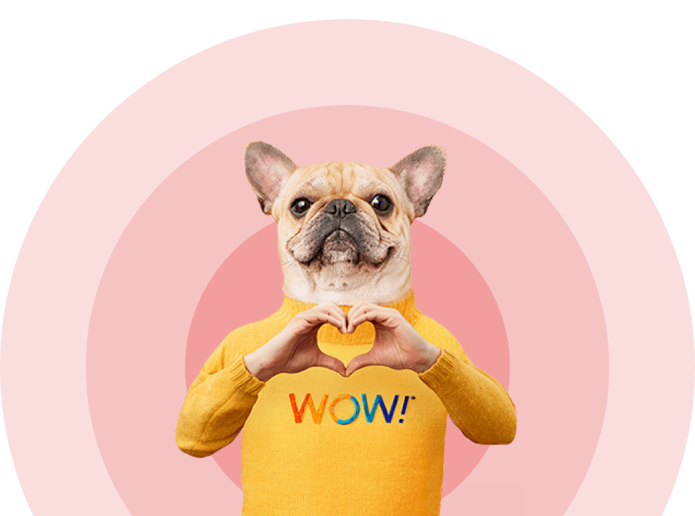 WOW! Cable & Phone Bundles, Offers & Support