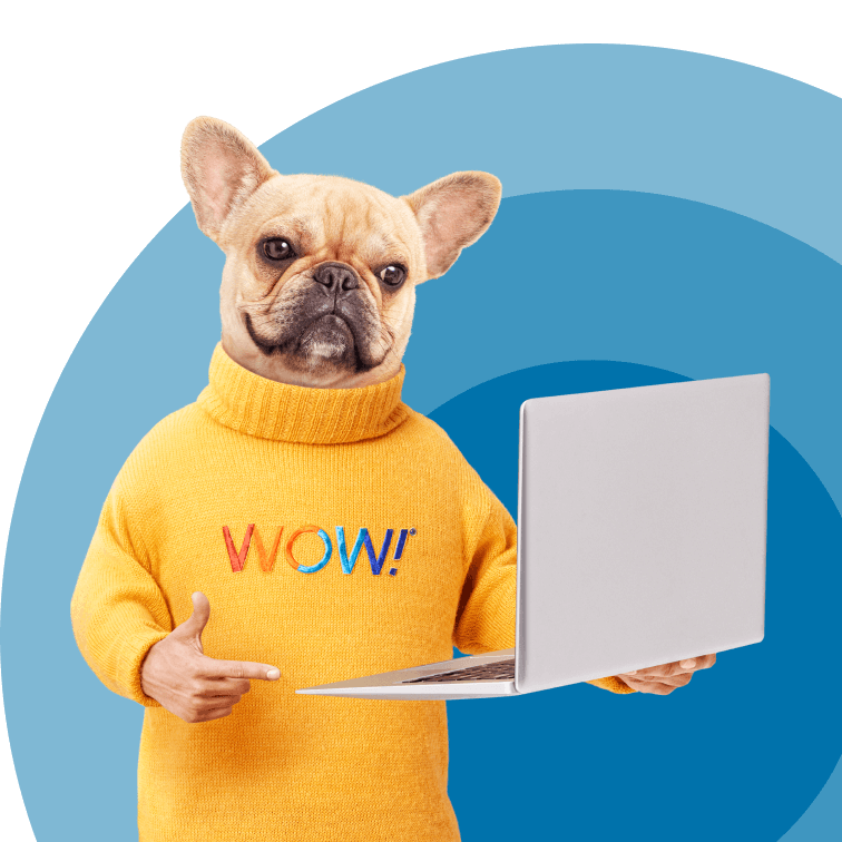 WOW! Internet, Cable & Phone | Bundles, Offers & Support